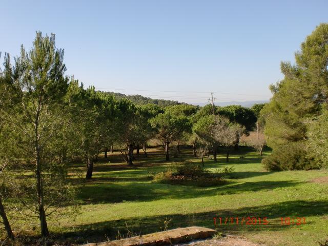 Puig Gros Hotel Montrás Buitenkant foto